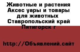 Животные и растения Аксесcуары и товары для животных. Ставропольский край,Пятигорск г.